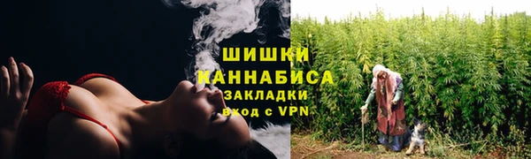стаф Абаза