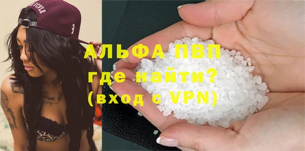 стаф Абаза