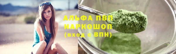 стаф Абаза