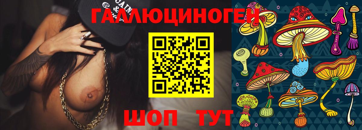 Псилоцибиновые грибы Psilocybe Топки