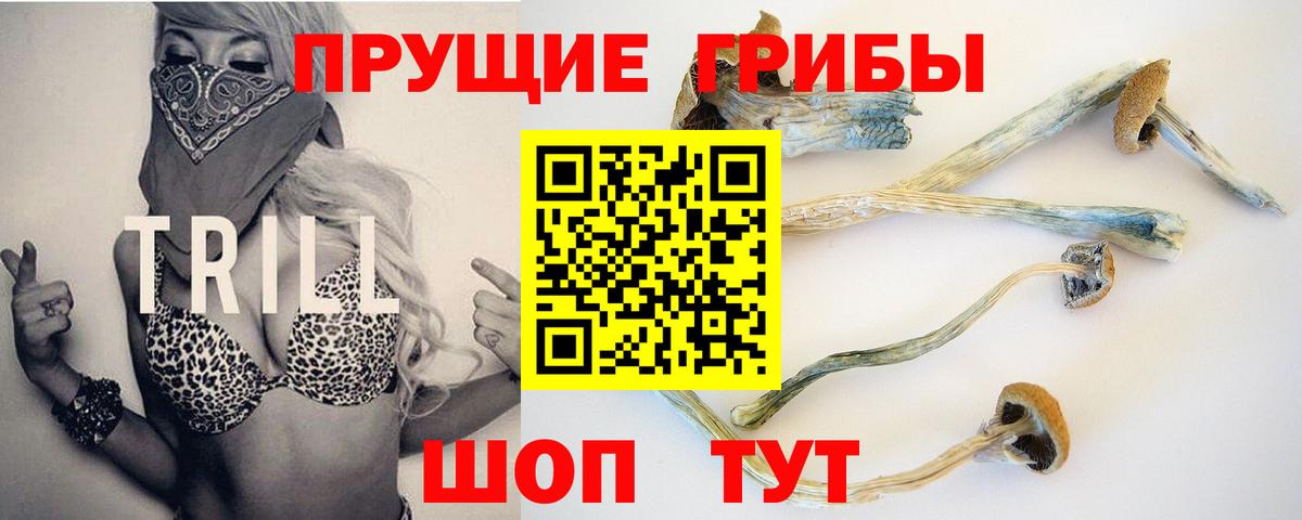 Топки  где найти наркотики  Вход с VPN  Псилоцибиновые грибы мухоморы 
